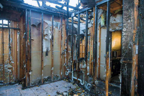Professional Fire Damage Repair technician working in Meadowbrook, CA